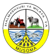 Musoma Rural District