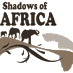 Shadows of Africa